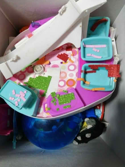 Photo of free Zhu Zhu Hamsters (Penzance TR18) #1