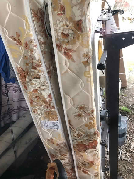 Photo of free Adjustable bed (Delmar NY) #1