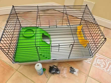 Photo of free Small cage for guinea pig (Lighthouse area NN15) #1