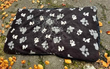 Photo of free Two Old Dog Beds (ME14 (Detling)) #1