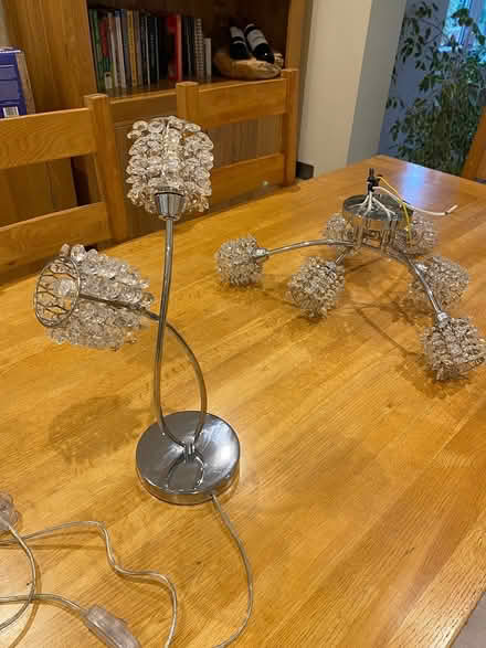 Photo of free Ceiling light and table lamp (Warners End Hemel Hempstead) #1