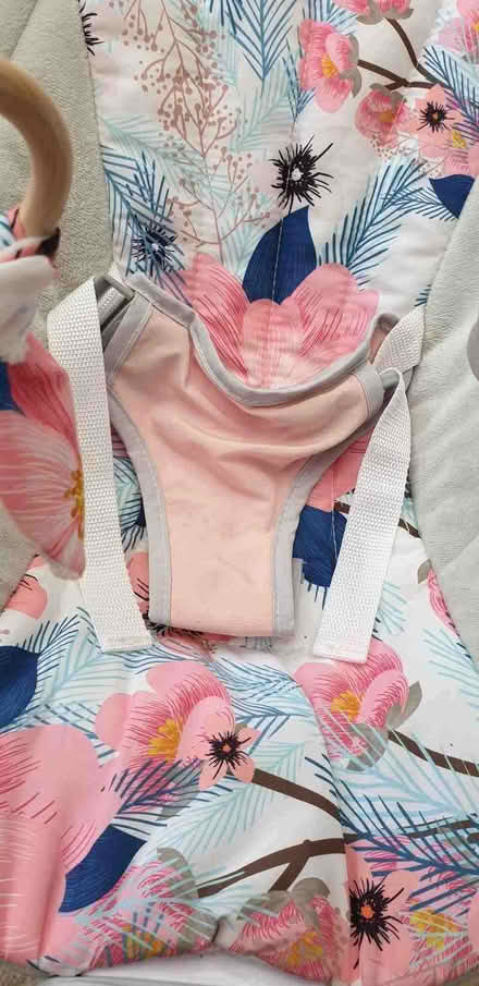 Photo of free Baby bouncer (Heybridge CM9) #1