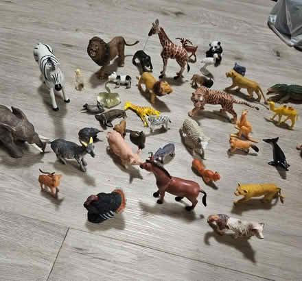 Photo of free Animal figurines (LS8 (Roundhay)) #1