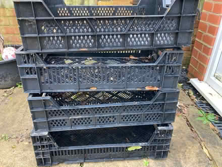 Photo of free Four strong plastic crates (Stonequarry) #1