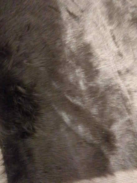 Photo of free Faux Chocolate Brown Fur (Kidsgrove) #2