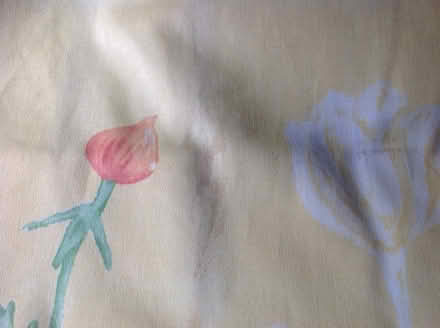 Photo of free Curtains (New Duston) #2