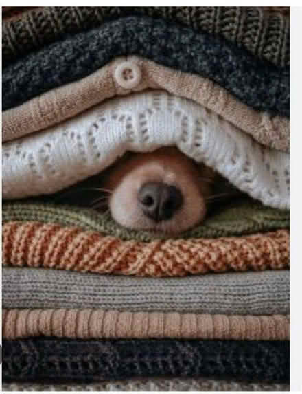 Photo of Animal charities (Crossgates LS15) #1