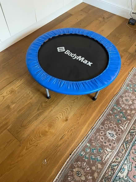 Photo of free Mini trampoline (South Hampstead, NW6) #1