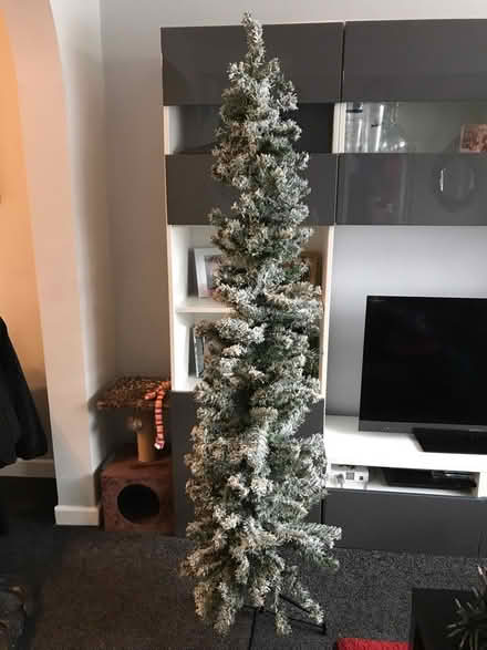 Photo of free Xmas tree, lights, various decs (Carshalton SM5) #1