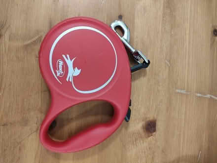Photo of free 5mtr Flexi lead (Stratford) #1