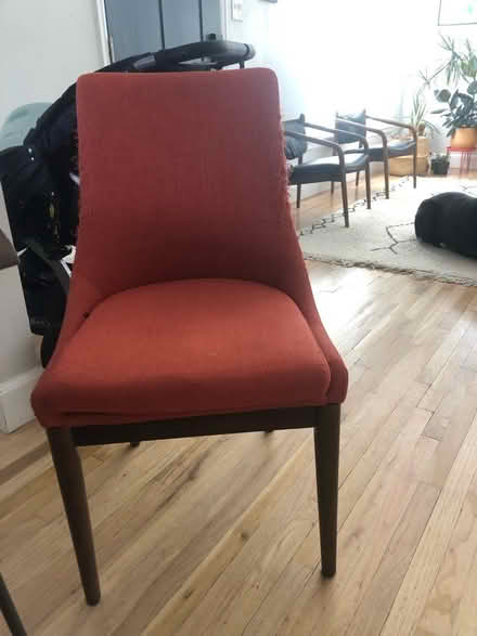 Photo of free Dining chairs (Rose park) #1