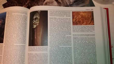 Photo of free Canadian Encylopedia (east Markham) #2