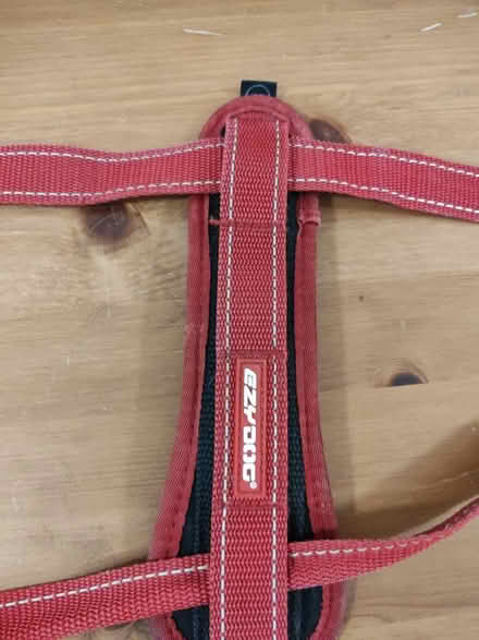 Photo of free Ezydog red harness S-M size dogs (Stratford) #2