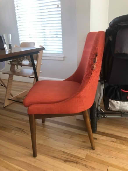 Photo of free Dining chairs (Rose park) #2