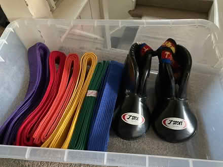 Photo of free Kickboxing foot protectors + belts (Sawley) #1