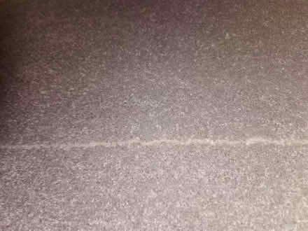 Photo of free New beige carpet 266x240cm (Saltaire BD18) #3