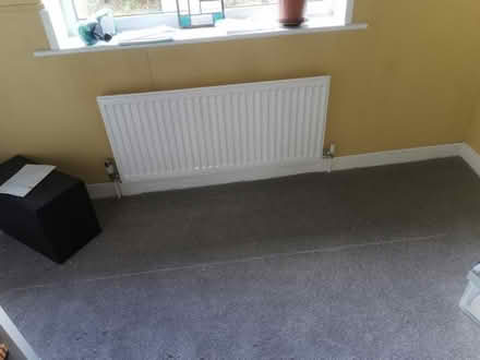 Photo of free New beige carpet 266x240cm (Saltaire BD18) #2