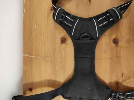 Photo of free Barknay dog harness (Stratford) #3