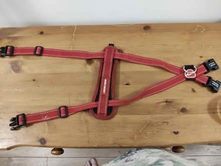 Photo of free Ezydog red harness S-M size dogs (Stratford) #1