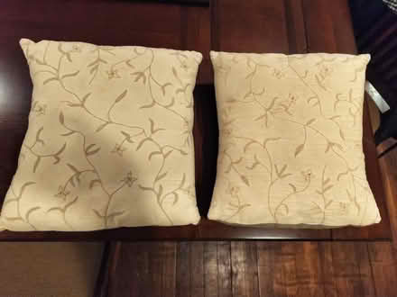 Photo of free 2 Beige pillows (Worcester) #1