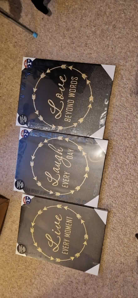 Photo of free Three wall art canvases (Belvidere SY2) #1