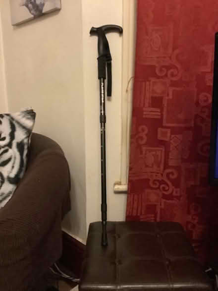 Photo of free Walking stick (Blacklands TN34) #1