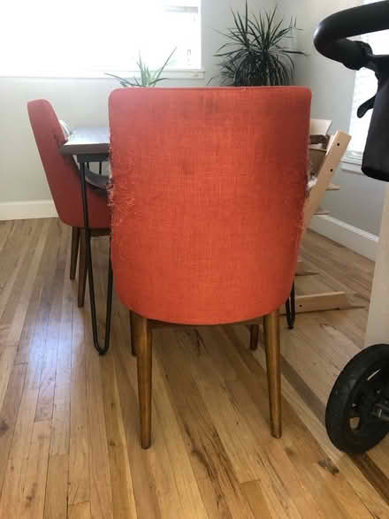 Photo of free Dining chairs (Rose park) #3
