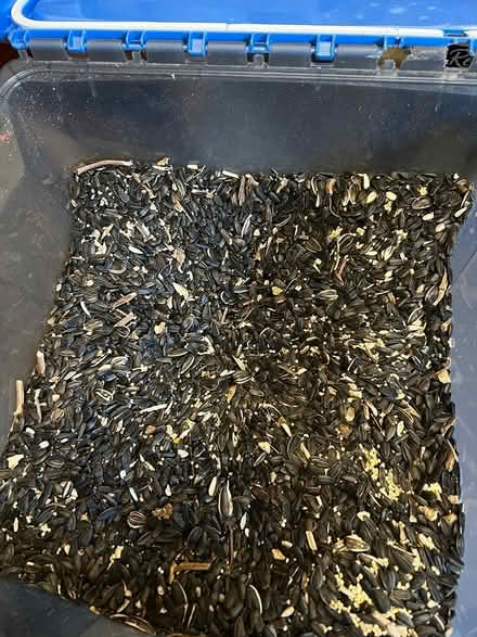 Photo of free Bird Food (Rohnert Park G Section) #2