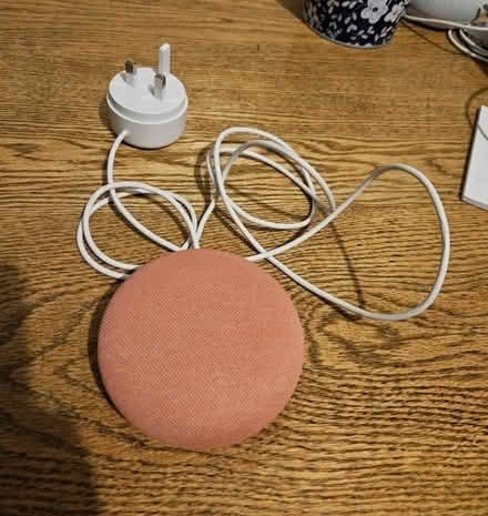 Photo of free Google Nest Mini - Pink (Stepney Green/Limehouse E1) #1