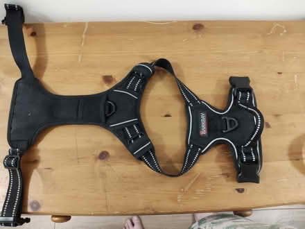 Photo of free Barknay dog harness (Stratford) #1