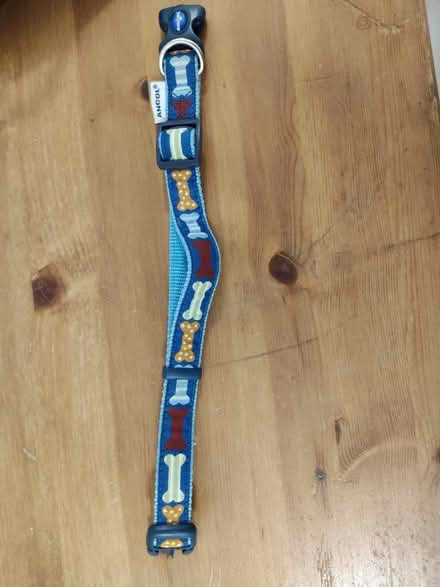 Photo of free Ancol Dog Collar S-M size dogs (Stratford) #1