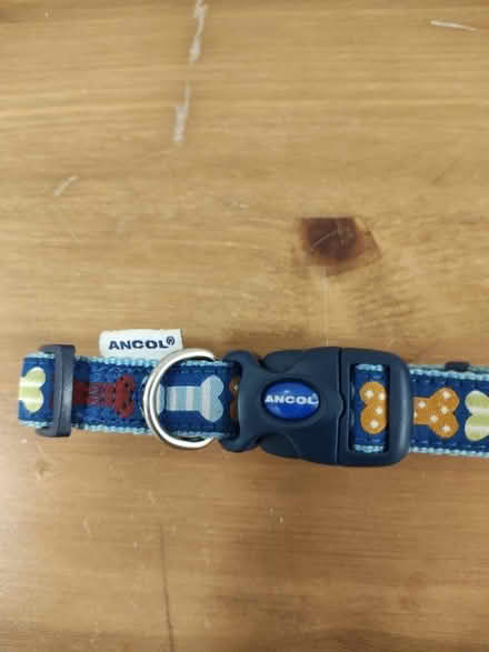 Photo of free Ancol Dog Collar S-M size dogs (Stratford) #2