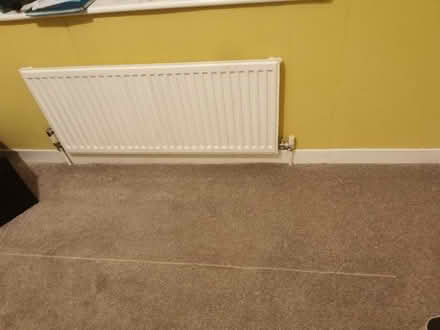 Photo of free New beige carpet 266x240cm (Saltaire BD18) #1