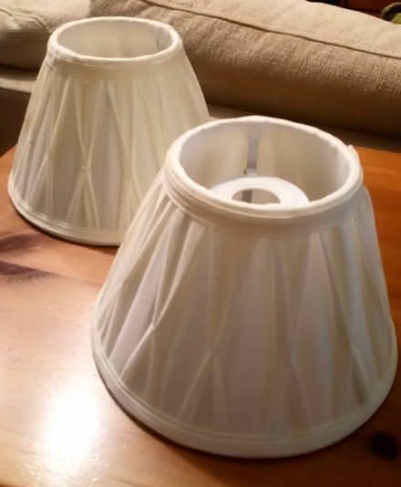 Photo of free Ceiling lamp shades (Penrith CA11) #1