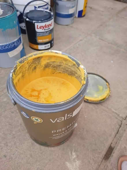 Photo of free Lamplighter Craig & Rose paint (North Tonbridge, TN10) #3