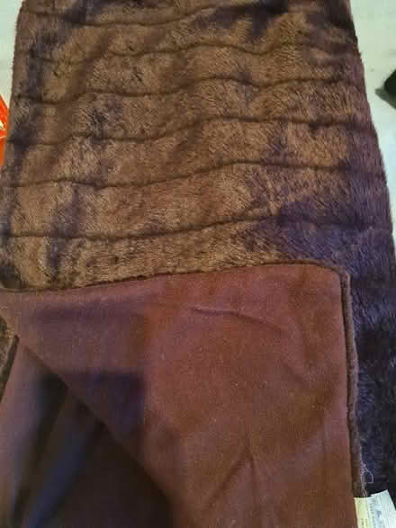 Photo of free Blanket (Tower Gardens Estate N17) #1