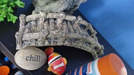 Photo of free fish tank ornaments (Hitchin) #2