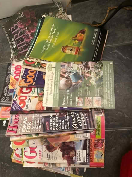 Photo of free food magazines (Palmers Green N13) #2