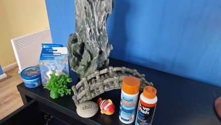 Photo of free fish tank ornaments (Hitchin) #1