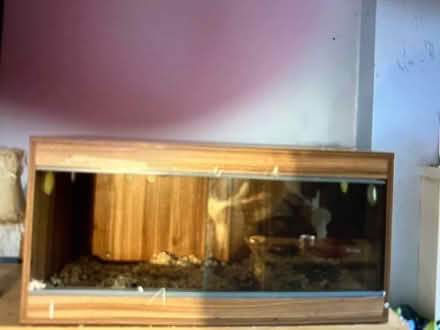 Photo of free Tortoise / reptile cage (Middleton Manchester) #1