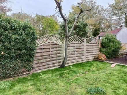 Photo of free Fence and decking (Widmore BR1) #1