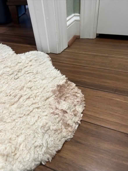 Photo of free NuLoom faux sheepskin rug (Colonial place) #1
