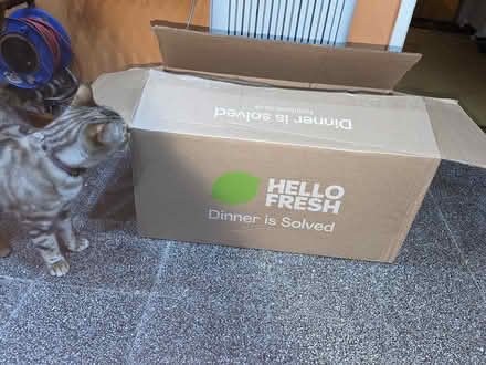 Photo of free Big boxes (Yaxley) #1