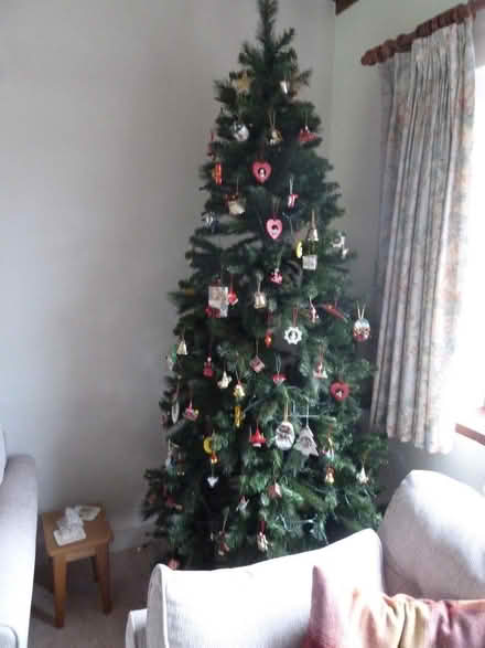 Photo of free Christmas Tree (imitation) (Chipstead TN13) #1
