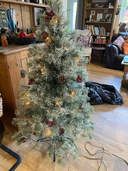 Photo of free Christmas Tree. 4 ft (Christchurch) #2
