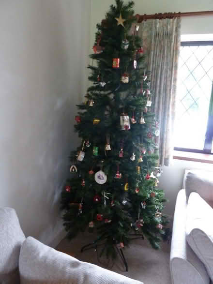 Photo of free Christmas Tree (imitation) (Chipstead TN13) #2
