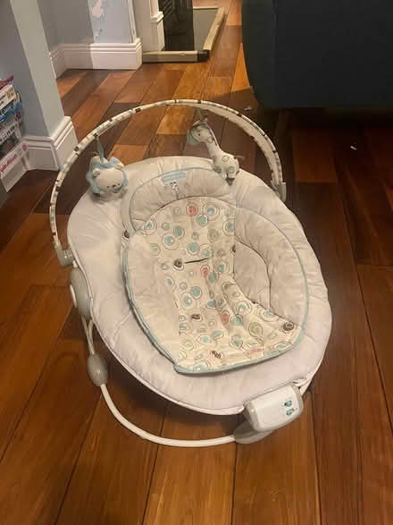 Photo of free Bright Starts Baby Bouncer (Stoneybatter) #1