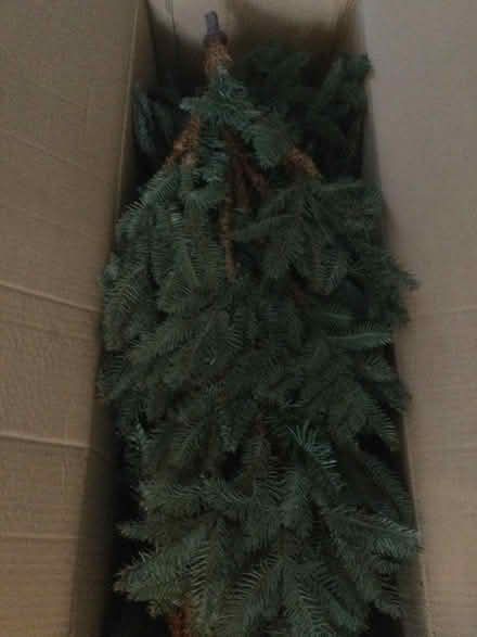Photo of free Christmas Tree Artificial 6ft (Ware SG12) #2