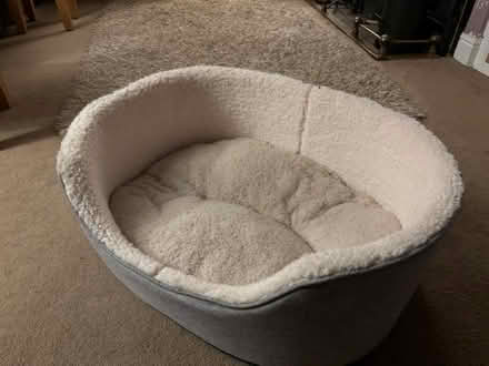 Photo of free Comfy dog bed (Stroud GL10) #1