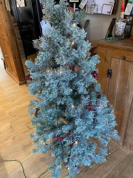 Photo of free Christmas Tree. 4 ft (Christchurch) #1